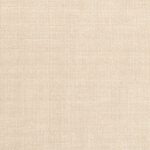 Forte Cream 03